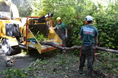 tree services Mead Valley